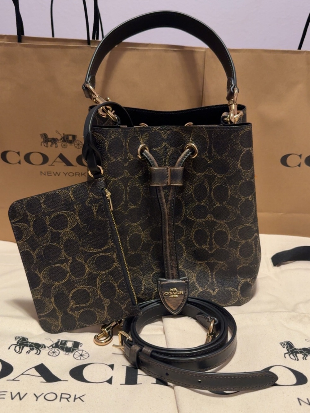 Rowan Bucket Bag in Loved Signature Coated Canvas - Picture 4 of 11